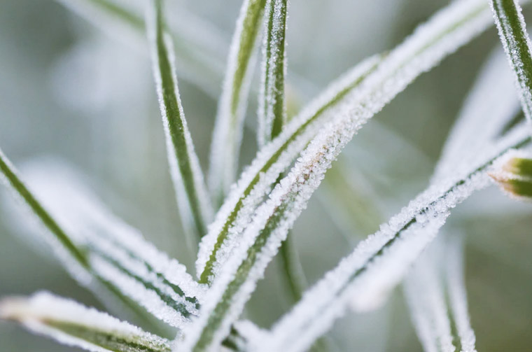 cold therapy for your skin